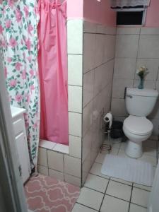 卡斯特里山景旅馆的浴室设有卫生间和粉红色的淋浴帘
