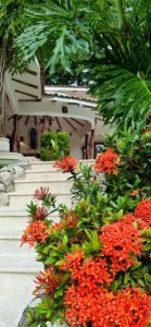 萨玛拉Villa Sandy en Samara Rocks的一组有红色花卉和植物的楼梯