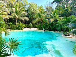 图卢姆Bunga Lotus Glamping - Otoch Nacom的棕榈树丛林中的游泳池