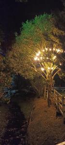 皮塔利托Turismo Colombia Pitalito的夜间有栅栏和树木,有灯
