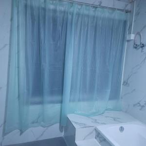 阿里巴格Mohor Retreat的浴室配有淋浴帘和盥洗盆。
