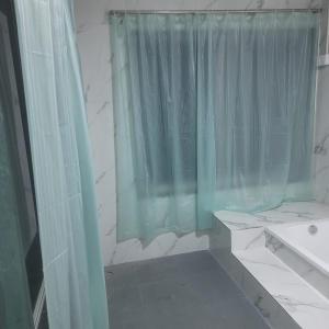 阿里巴格Mohor Retreat的浴室设有绿色的淋浴帘和水槽