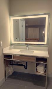 艾尔蒙特New Star Inn El Monte, CA - Los Angeles的一间带水槽和镜子的浴室