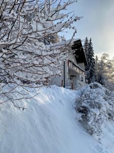OberzeiringPölstaler Berghütte的房子前面的雪覆盖的树