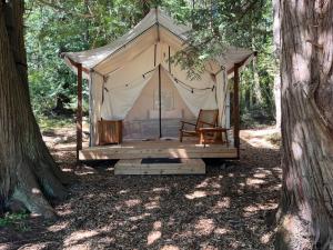 LopezLopez Farm Cottages & Tent Camping的树林里的帐篷,里面摆放着椅子