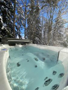 克莱恩 蒙塔纳Colorado Riders Chalet的覆盖着雪的热水浴池,后方有树木