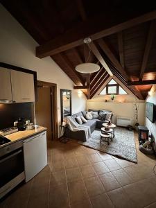 拉兹洛格Spacious penthouse chalet apartment in Pirin Golf and Country Club的厨房以及带沙发的起居室。