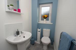 奥克尼Peedie Picky Townhoose - STL OR00094F的一间带卫生间、水槽和窗户的浴室