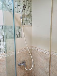胡志明市SUNNY HOME的浴室内带软管的淋浴