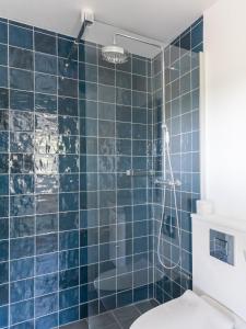阿灵厄Sjælegård Countryside Lodge的蓝色瓷砖浴室配有淋浴和卫生间。