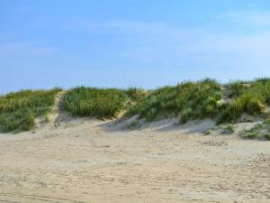 拉科克Apartment Gunnlaug - 500m from the sea in Western Jutland by Interhome的一片沙质海滩,上面有草地