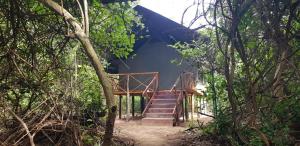 KwangwaziCamp Seluu - Safari Pkg的森林中间的一座带楼梯的房子