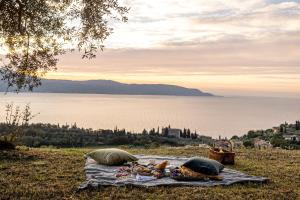 托斯科拉诺-马德尔诺Colago Private Villas Lake Garda的水边的毯子上野餐