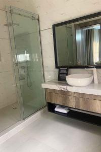阿布贾Castle Estate APartments的一间带水槽和玻璃淋浴的浴室
