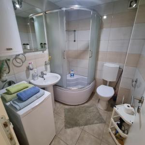 克鲁舍瓦茨ZVEZDA LUX的一间带水槽、卫生间和淋浴的浴室