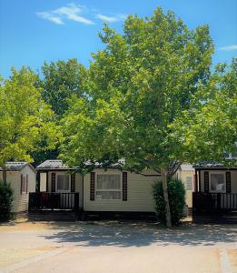 萨拉戈萨Bungalows Zaragoza Camping的前面有一排有树的移动房屋