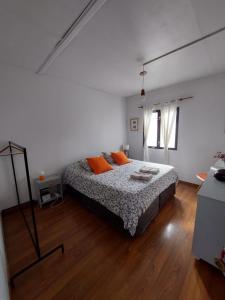 乌斯怀亚Habitación con Baño Privado - Frigo bar y sector para desayunar - Sin cocina的一间卧室配有带橙色枕头的床