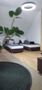 西恩纳Willa ViWaldi Janowa Góra的地板上种植植物的房间的两张床
