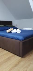 西恩纳Willa ViWaldi Janowa Góra的床上铺有蓝色床单和白色毛巾