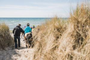 费马恩Büdlfarm - Der Familien-Erlebnishof in Strandnähe的一群人在海滩上骑大象