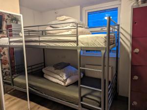 伦敦Hostel Rooms In Camden的客房内的两张双层床