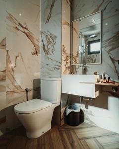 盖尼特拉City Hotel by Waves的一间带卫生间、水槽和镜子的浴室