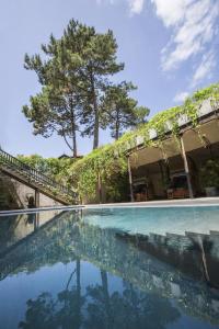阿卡雄海沃尔城镇酒店的一座有树的游泳池