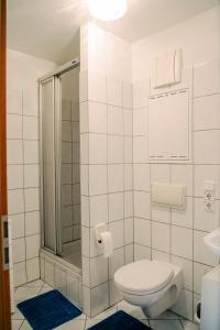 萨尔斯塔特Ostertor的一间带卫生间和淋浴的浴室