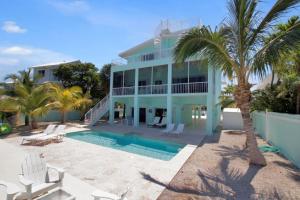 塔维涅Conch Bar South的一座带游泳池和棕榈树的大型蓝色房屋