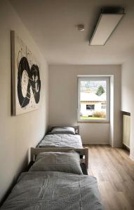 BraunshausenSchneiders Ferienwohnung 1的卧室设有两张床,带窗户