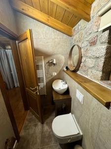沃斯科波亚Hotel Ambassador Voskopojë的一间带卫生间、水槽和镜子的浴室