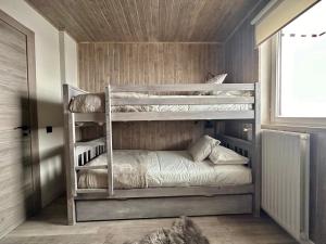 福米加尔Formigal 360的一间卧室配有两张双层床。