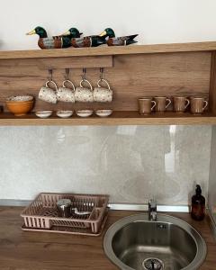 Seoski turizam Žigale的厨房水槽,上面有碗和鸟架