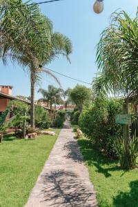 弗洛里亚诺波利斯Pousada Vila Campeche的一条穿过棕榈树和草地的度假胜地的小路