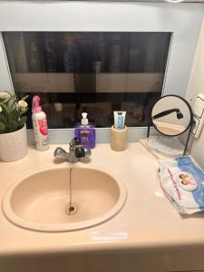 巴塞罗那Andrea house’s的浴室的柜台设有水槽和镜子