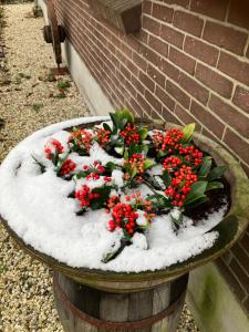 福尔特赫伊曾Bed & Breakfast Hoeve Happiness的种植园里满是雪花和红花