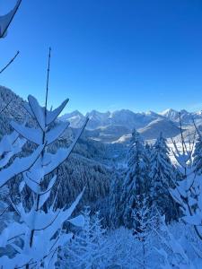 施万高ApartSchön的享有雪覆盖的森林美景