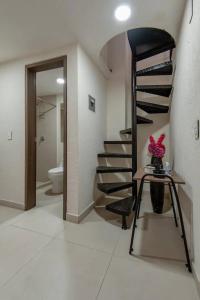 墨西哥城Central and cozy CDMX 1BR的一间设有卫生间的客房内的螺旋楼梯