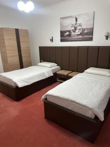 德罗贝塔-塞维林堡Hotel Villa Ovidiu的一间设有两张床的客房,墙上挂着一张照片