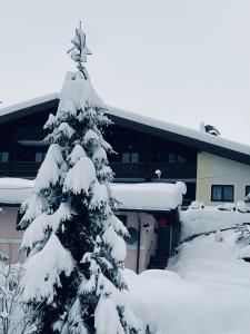 上柯尼希山麓米尔巴赫Appartementhaus Hochkönig - Panoramablick的建筑物前的雪覆盖的圣诞树