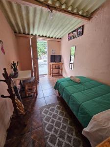 Santa Cruz TecamacHostal Casa Amarilla Tecámac的一间位于客房内的带绿床的卧室