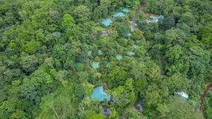 福尔图纳Chachagua Rainforest Hotel & Hot Springs的享有蓝色森林的顶部景色