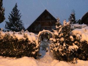 施泰因莱茵河畔施泰因住宿加早餐酒店的一座被雪覆盖的院子,里面种满了树木,小屋