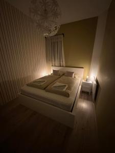 毛科Travel Studio的一间卧室配有一张光线充足的床