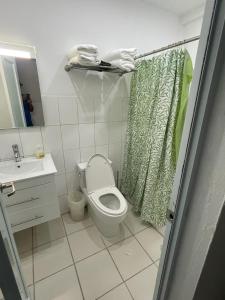 圣胡安Mindanao # 842的一间带卫生间和淋浴帘的浴室