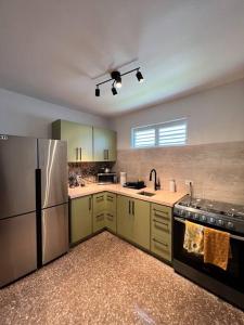 伊莎贝拉Playa y Campo Apartment #2的厨房配有绿色橱柜和不锈钢冰箱