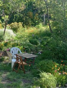 圣卡洛斯-德巴里洛切Casita en el bosque的花园里的野餐桌和两把椅子