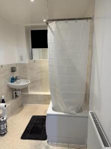 达格纳姆LUXURY APARTMENTS的带淋浴、卫生间和盥洗盆的浴室