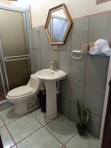 福尔图纳Luna Lodge的一间带卫生间、水槽和镜子的浴室