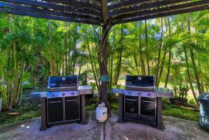 维雷亚Maui Kamaole的两把炉灶都坐在树棚下